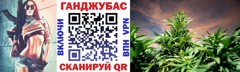 Бошки марихуана конопля Дорогобуж